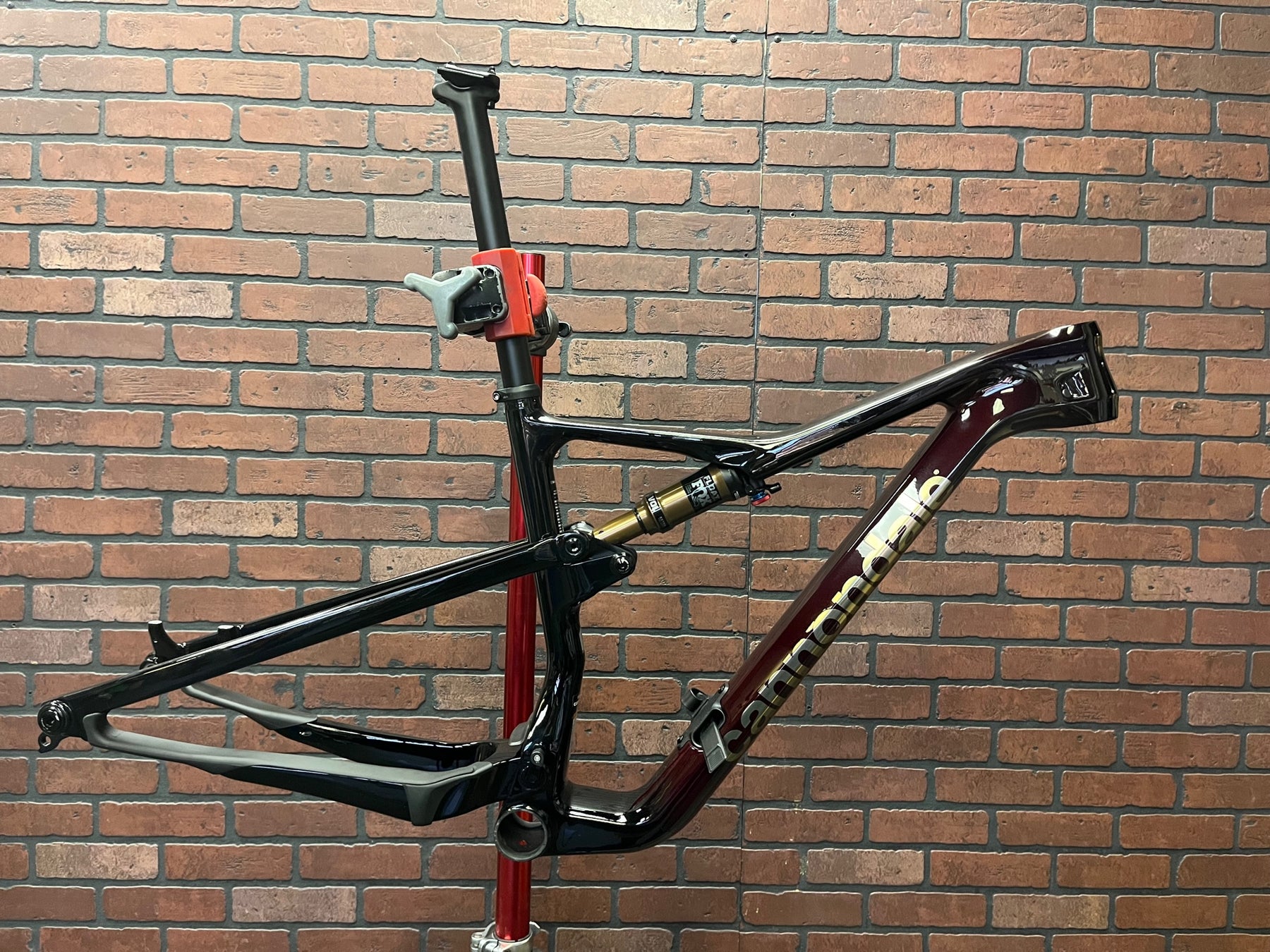 Scalpel HiMod Ultimate frameset Medium